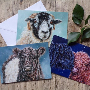 Pacote de cartões de Natal Farm Animal com 3 - bezerros Highland, ovelha Swaledale, Belted Galloway
