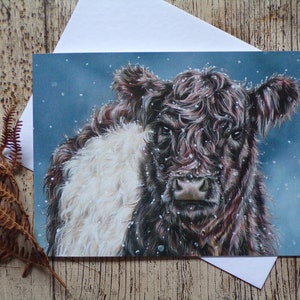 Tarjeta de felicitación/cumpleaños/Navidad de vaca Belted Galloway