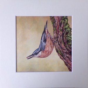 Picchio muratore - Dipinto originale di Alison Armstrong - Animale/fauna selvatica/uccello