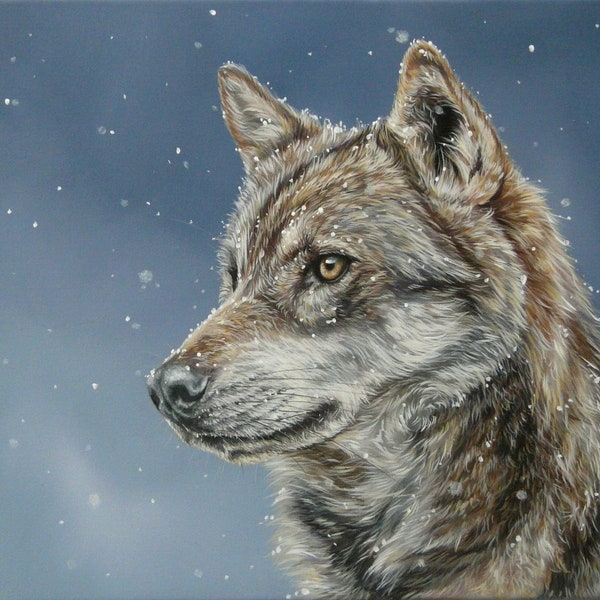 Original Painting by Alison Armstrong - Wildlife/ Animal Canvas - Wolf in Snow