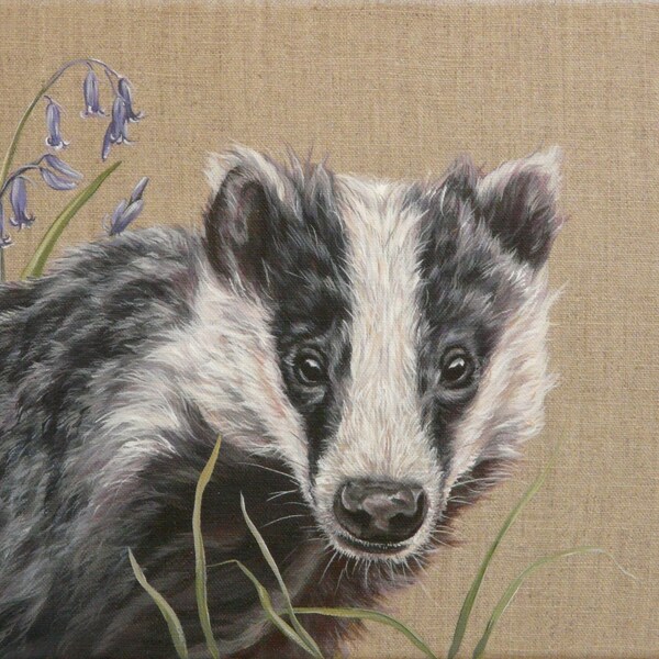 Original Painting by Alison Armstrong - Wildlife / Animal Canvas - Badger