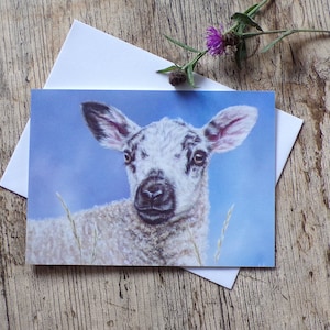 Biglietto di auguri di compleanno/auguri con agnello della croce di Texel