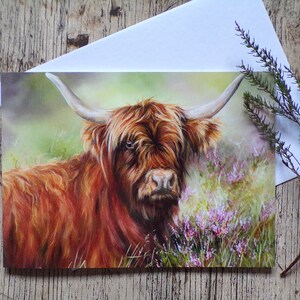 Cartão de saudação de vaca das montanhas / cartão em branco / cartão de aniversário - arte de animais de fazenda