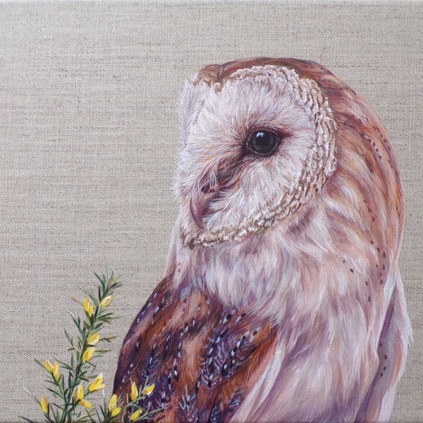 Barn Owl - Original Painting by Alison Armstrong - Wildlife/ Animal / Bird Canvas