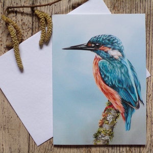 Carte de voeux martin-pêcheur - Anniversaire / Vierge - Faune / Oiseau / Art animalier