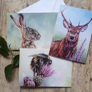 Confezione da 3 carte della fauna selvatica: cervo rosso, lepre bruna e calabrone