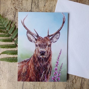 Carte d'anniversaire / Carte d'anniversaire / Carte vierge Cerf élaphe