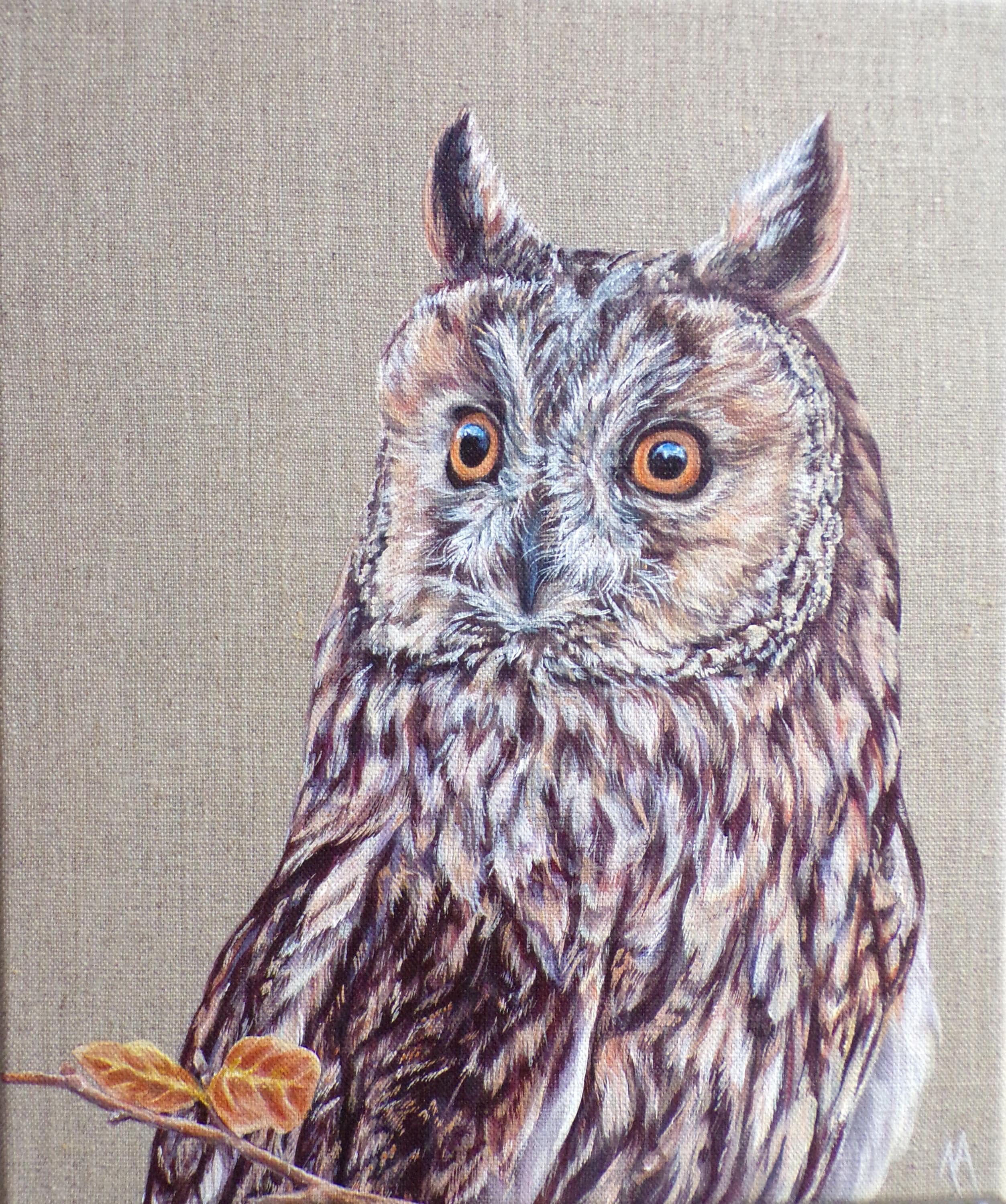Long Eared Owl - Original painting by Alison Armstrong - 10 x 12 inches