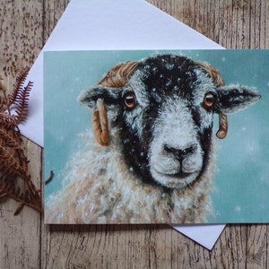 Mouton Swaledale Noël / Anniversaire / Carte de voeux
