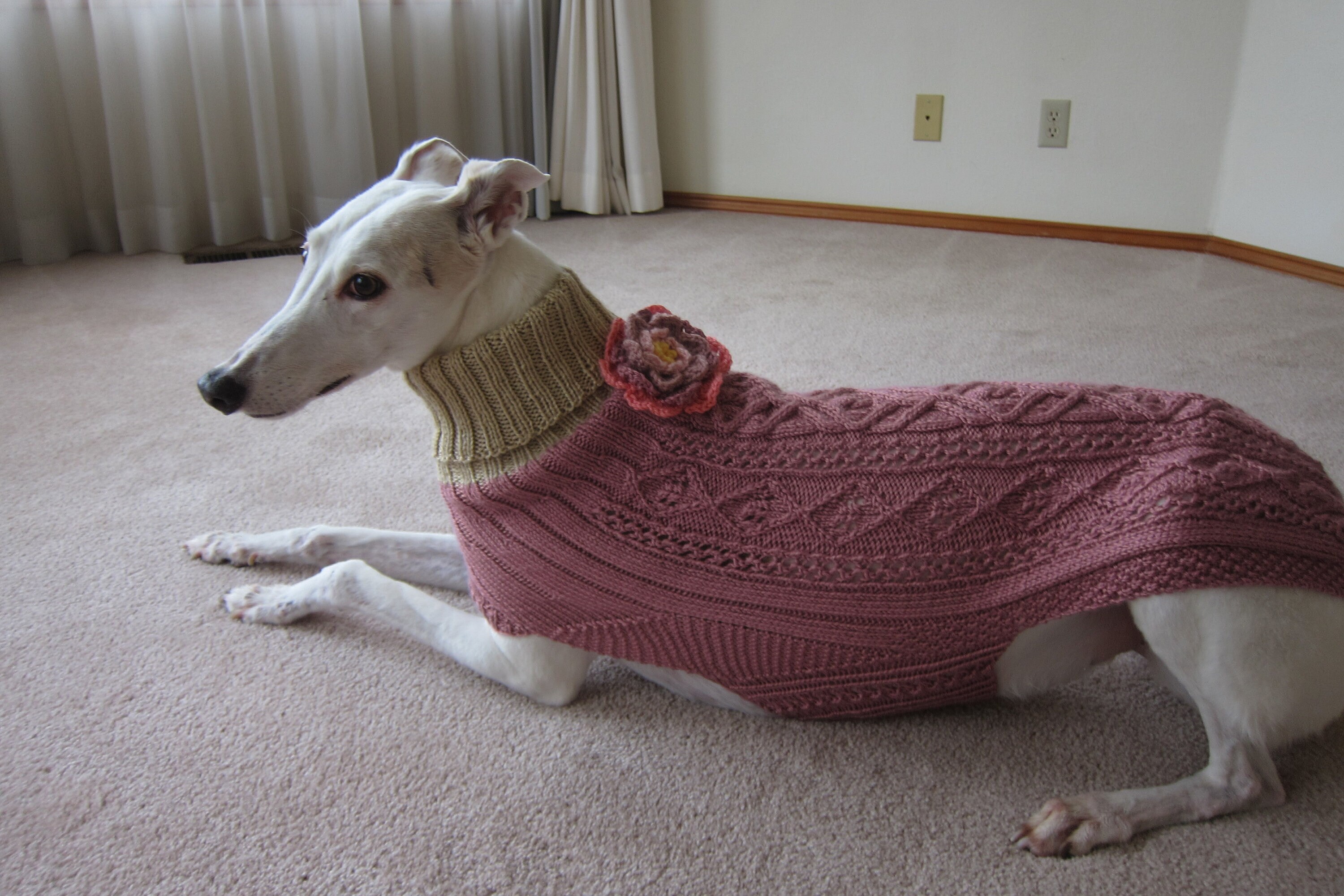 Greyhound Knits - Etsy