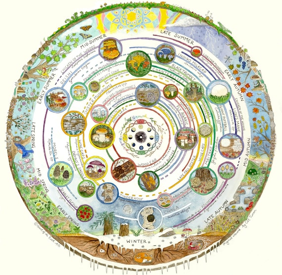 Mushroom Foraging Calendar an Illustrated Guide to Edible & Etsy