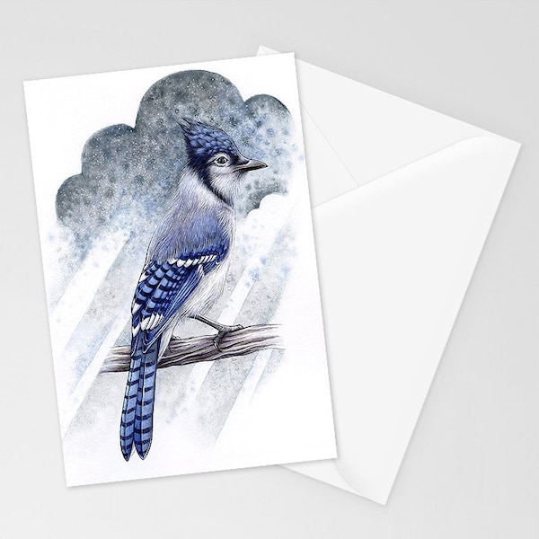 Blue Jay | Miniature Postcard Art Print