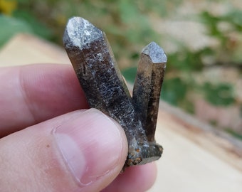 May include: A cluster of smoky quartz crystals, featuring two prominent points. The crystals are a translucent brown colour with a slightly rough texture. The background is blurred, with hints of green foliage and a wooden surface.
