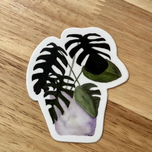 Monstera Vinyl Sticker