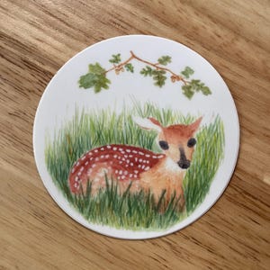 Baby Deer Vinyl Sticker