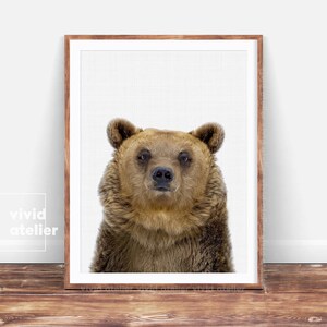 Bear Print, Printable Woodlands, Nursery Woodland Art, Woodland Animals, Nursery Forest Decor, Kids Room Decor, Forest Animal, Nursery Art image 1