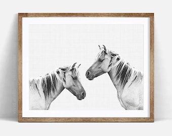 Horse Photo, Horse Print, Black and White Animal Print, Horse Photography, Equestrian Art, Black and White Horses, Horse Printable Art