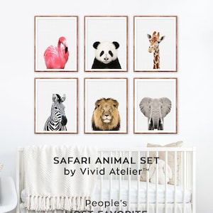 Safari Nursery Set, Safari Nursery Decor, Print Set of 6, Safari Animal Nursery Wall Art, Baby Girl Nursery, Jungle Animals, Animal Prints