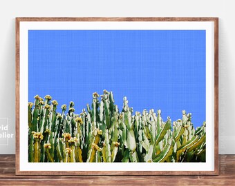 Cactus Photography, Succulent Print, Cactus Art, Cactus Print, Cacti, Cactus Plant Print, Cactus Wall Art, Cactus Printable, Cactus Photo