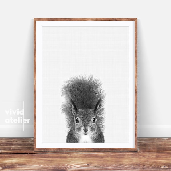 Black and White Woodland Nursery Animal, Squirrel Print, Forest Animal Wall Art, Baby Woodland Decor, Digital Print,Squirrel Photo Printable