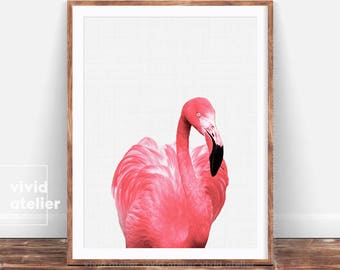 Flamingo Print, Flamingo Wall Art, Downloadable Print, Beach Decor, Prints Wall Art, Nursery Wall Art, Printable Wall Art, Photography Print