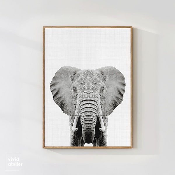 Elephant Print, Nusery Animal, Safari Nursery Print, Nursery Art Decor, Safari Animals, Nursery Printable, Baby Nursery, DIY