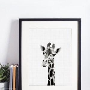Giraffe Print, Giraffe Wall Art, Nursery Animal Prints, Giraffe Art Prints, Nursery Art, Nursery Decor, Nursery Wall Art, Nursery Prints image 4