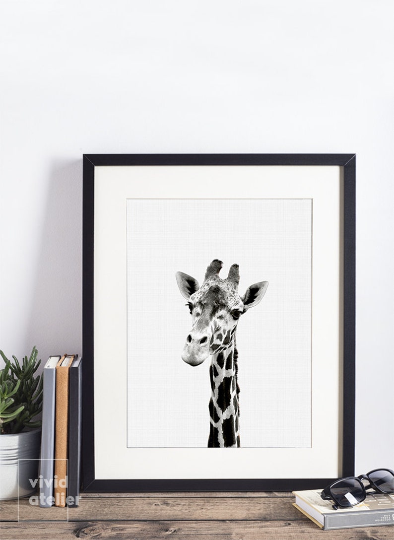 Giraffe Print, Giraffe Wall Art, Nursery Animal Prints, Giraffe Art Prints, Nursery Art, Nursery Decor, Nursery Wall Art, Nursery Prints image 4