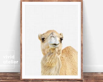 Camel Print, Camel Wall Art, Digital Download, Safari Nursery Art, Safari Nursery Print, Nursery Decor, Printable Camel, Safari Decor