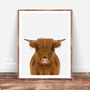 Farmhouse Decor, Highland Cow Print, Nursery Wall Art, Animal Print, Nursery Decor, Downloadable Prints, Nursery Print, Nursery Printable