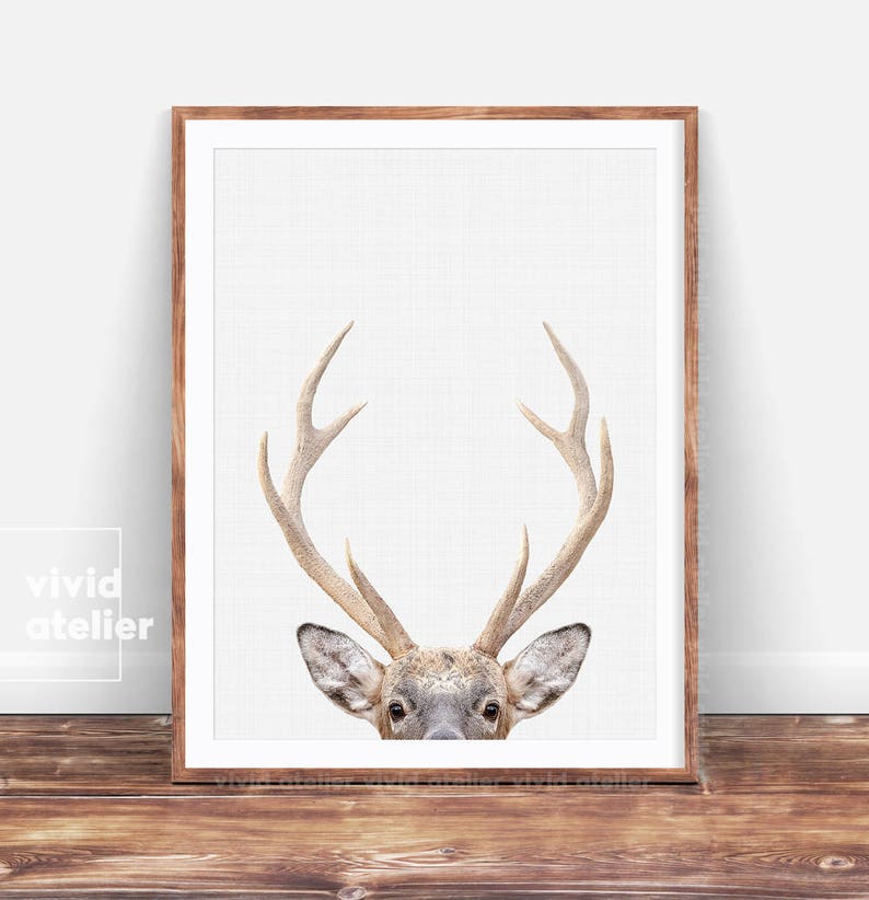 Deer Print Woodland Nursery Prints Nursery Wall Art Nursery Etsy