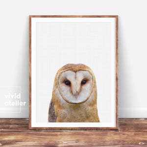 Woodlands Nursery Wall Art, Owl Print, Kids Room Poster, Owl Wall Print, Printable Woodlands Animal, Owl Photography, Forest Animals Poster