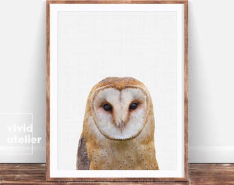 Woodlands Nursery Wall Art, Owl Print, Kids Room Poster, Owl Wall Print, Printable Woodlands Animal, Owl Photography, Forest Animals Poster