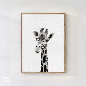 Giraffe Print, Giraffe Wall Art, Nursery Animal Prints, Giraffe Art Prints, Nursery Art, Nursery Decor, Nursery Wall Art, Nursery Prints image 1