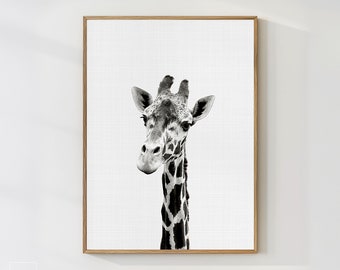 Giraffe Print, Giraffe Wall Art, Nursery Animal Prints, Giraffe Art Prints, Nursery Art, Nursery Decor, Nursery Wall Art, Nursery Prints