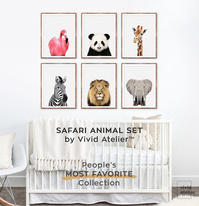 Safari Nursery Set Safari Nursery Decor Print Set of 6 Etsy