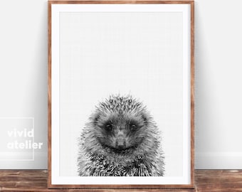 Hedgehog Print, Hedgehog Wall Art, Woodland Nursery Wall Art, Nursery Art, Nursery Decor, Nursery Animal Prints, Prints Wall Art, Printable