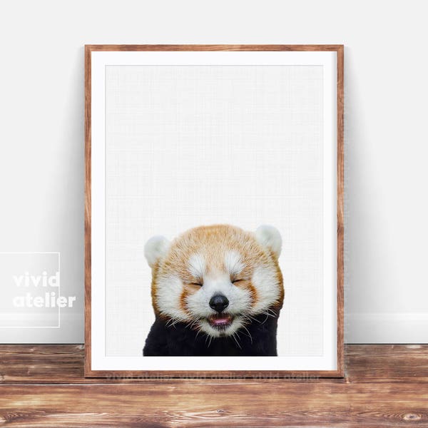 Red Panda Print, Nursery Art, Animal Prints, Baby Animals, Forest Animal, Woodlands Animal, Nursery Art Decor, Animal Photography, Download