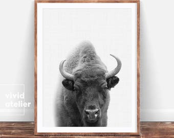 Bison Print, Buffalo Printable, Nursery Forest Animal Wall Art, Nursery Woodlands, Black and White Animal, Animal Photography Digital Poster