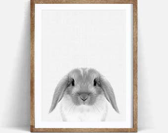 Bunny Print, Woodland Nursery Art, Black and White Nursery Animal Wall Art, Baby rabbit, Bunny Printable, Baby Printable Woodland Decor