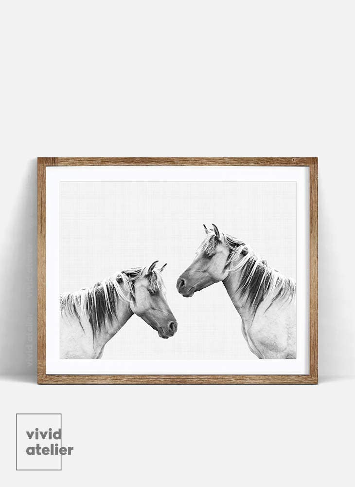 Horse Photo Horse Print Black and White Animal Print Horse - Etsy