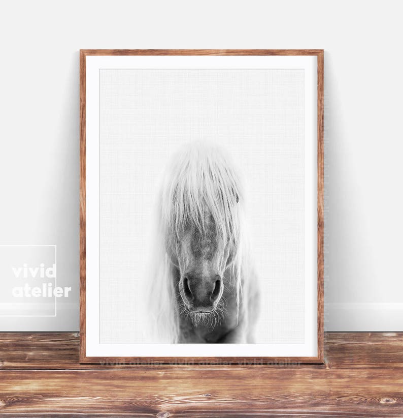 horse-print-horse-photography-prints-horse-wall-art-etsy