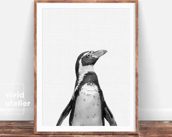 Penguin Print, Penguin Wall Art, Nursery Wall Art Decor, Black and White Penguin Printable, Nusery Animal, Animal Print Decor, Digital Shops