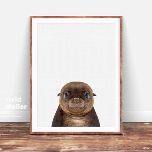 Sea Lion Print, Nursery Wall Art, Sea Nursery Decor, Downloadable Prints, Animal Prints, Nursery Art, Nursery Prints, Bathroom Decor