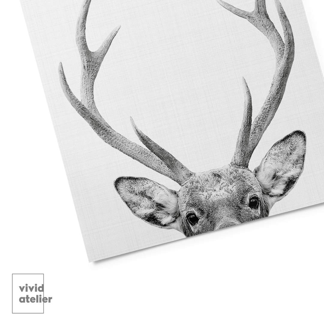 Deer Print Woodland Nursery Nursery Wall Art Printable Art Etsy Canada