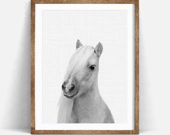 Pony Print, Horse Wall Art, Nursery Animal Printable, Baby Foal Poster, Kid Wall Art Poster, Horse Photography, Little Pony Baby Shower Gift