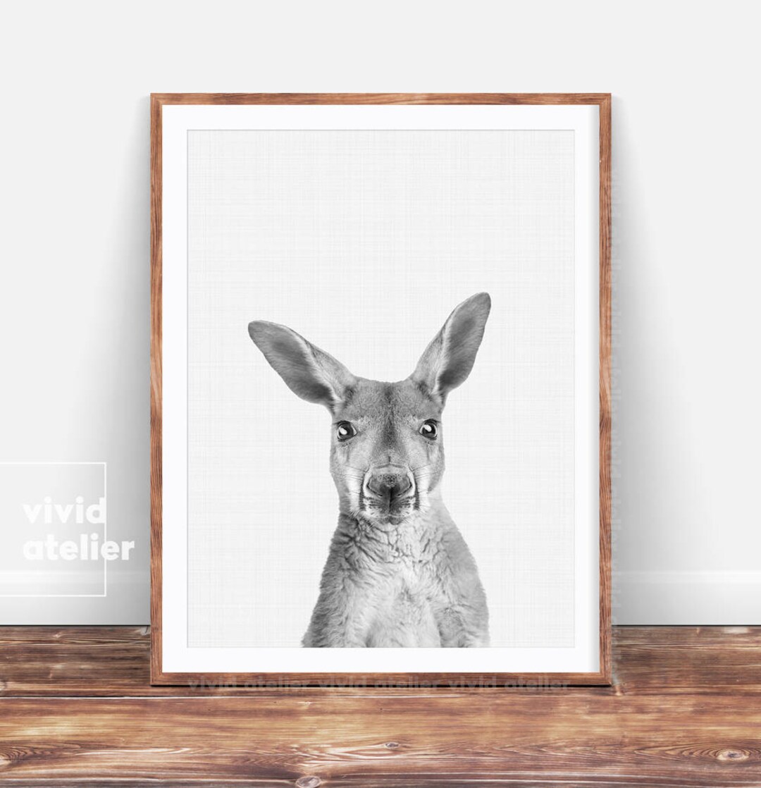 Kangaroo Wall Art Print Black and White Nursery Decor Etsy