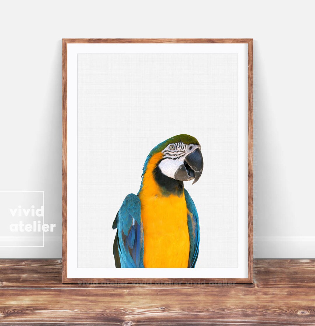 Parrot Print, Parrot Printable, Tropical Nursery, Tropical Bird Print ...