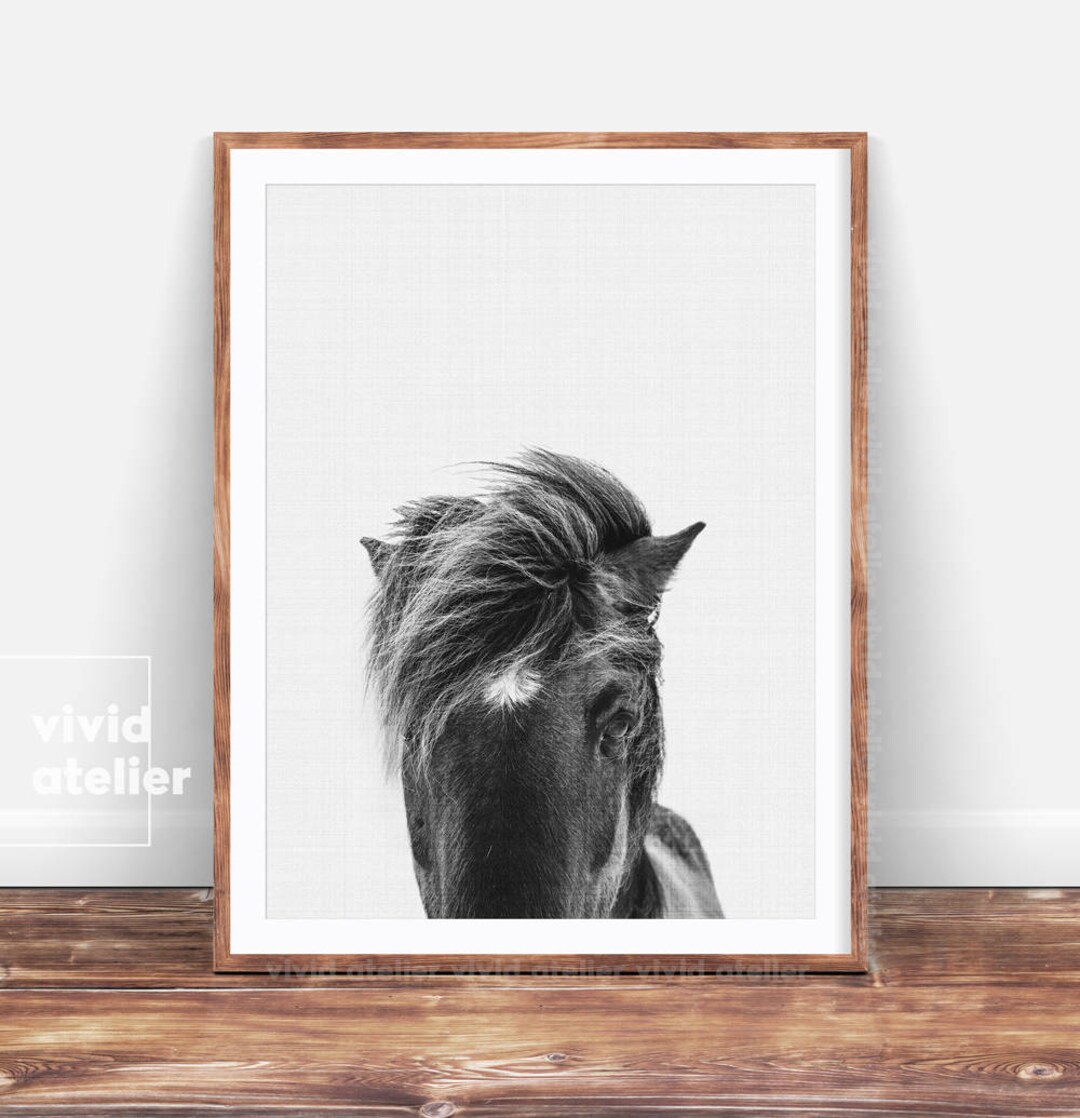 Horse Print, Black and White, Wilderness Wall Art, Horse Photography ...