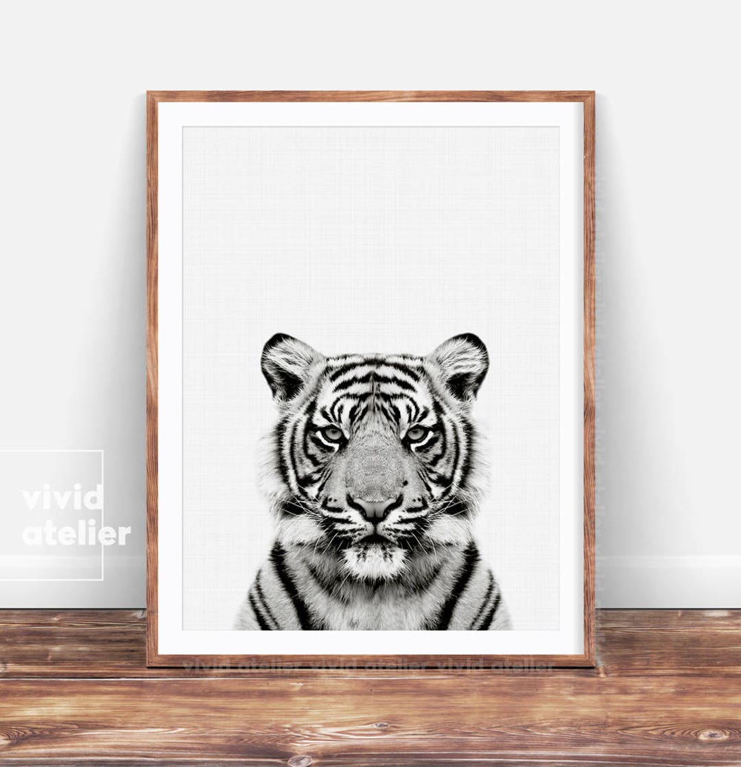 Black and White Tiger Print, Photography, Nursery Decor, Safari Animal ...